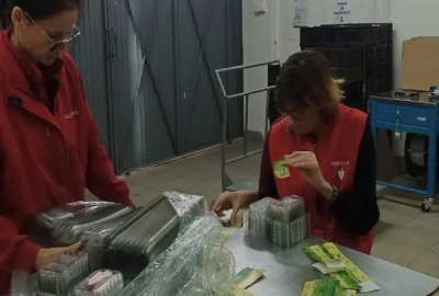 Srbija i posao: Kako se zapošljavaju ljudi sa invaliditetom, a šta su im najveće prepreke na poslu