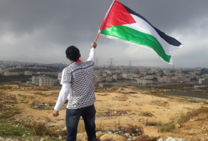 APEL 28 NEVLADINIH ORGANIZACIJA: Skupština da stavi na dnevni red Rezoluciju o osudi zločina Izraela u Palestini