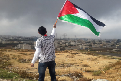 APEL 28 NEVLADINIH ORGANIZACIJA: Skupština da stavi na dnevni red Rezoluciju o osudi zločina Izraela u Palestini