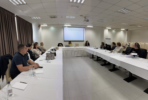 UMHCG: BEZ ZNANJA NEMA ZAŠTITE – STRUČNI KAPACITETI KLJUČNI ZA ZAŠTITU ŽENA S INVALIDITETOM OD NASILJA