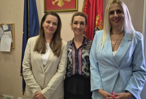 Rakočević: Ministarstvo ljudskih i manjinskih prava posvećeno razvoju politika koje će doprinijeti punom sprovođenju Konvencije za prava osoba sa invaliditetom